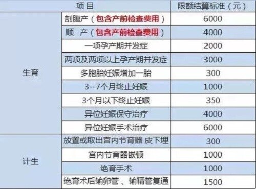 重庆生育保险能报多少钱