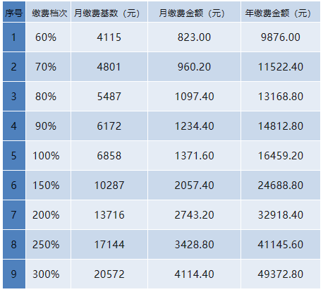 2023年度灵活就业人员养老保险缴费档次及金额详情