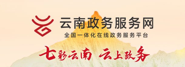 云南政务服务网