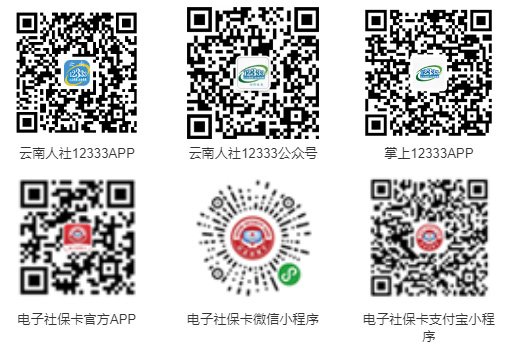 云南人社12333App/掌上12333 APP/微信公众号/微信小程序